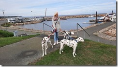 Hafen Simrishamn (1) (640x360)