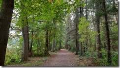 Bordesholm (1) (13) (640x360)