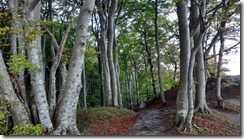 Møns Klint (1) (3) (640x360)