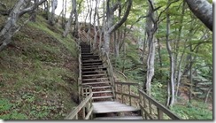 _Mons Klint Treppe