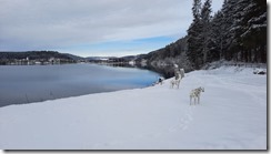 Titisee_03a (1) (4) (640x360)