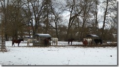 Donaueschingen_17 (2) (640x360)