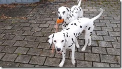 Spielen 03