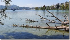 Luzern (1) (20) (640x360)