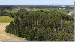_Gassirunde