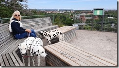 Kopparklinten_22 (1) (5) (640x360)