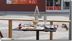 _Vögel