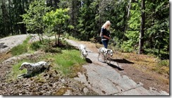 Waldroute_22 (1) (10) (640x360)