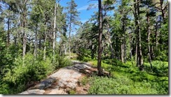 Waldroute_22 (1) (11) (640x360)