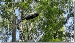 Waltweg mit Beleuchtung (1) (640x360) (640x360)