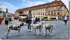 Bamberg (1) (8) (640x360)