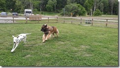 _Leonberg 02