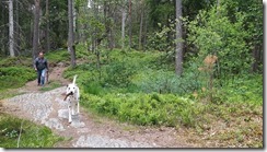 _unser Wald 02
