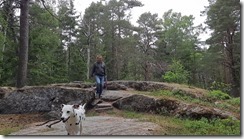 _unser Wald 03