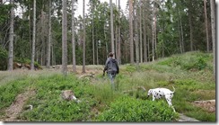 _unser Wald 04