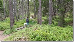 _unser Wald 05