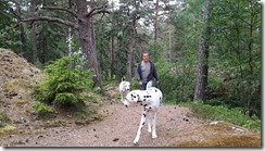 _unser Wald 06