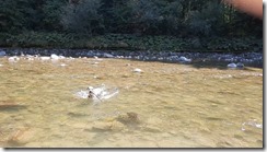 _An der Emme 02