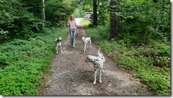 Sonja und die Dalmis (1) (2) (640x360)