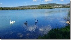 Waldshut am Rhein (1) (2) (640x360)