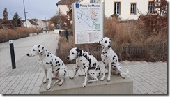 Paray le Monial_2 (1) (2) (640x360)