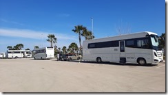 Morelo treffen (1) (2) (640x360)