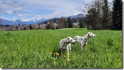 M und M unterwegs in Luzern (1) (3) (640x360)