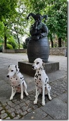 Kitzingen_14 (1) (14) (360x640)