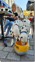20230614_142059 (360x640)