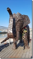 Elefant_16 (1) (360x640)