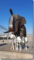 Elefant_16 (1) (4) (360x640)