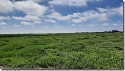 Fort Mahon Plage (1) (14) (640x360)