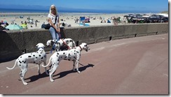 Fort Mahon Plage (1) (26) (640x360)