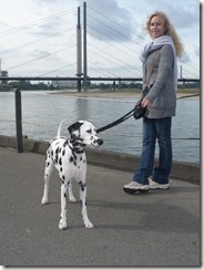 Düsseldorf (8) (480x640)