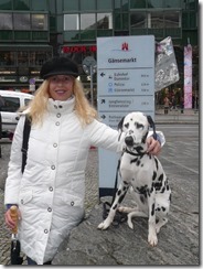 Hamburg_Gänsemarkt (6) (480x640)