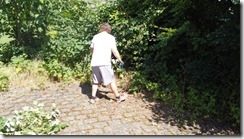 Hecken schneiden 02