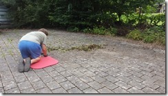 Moos entfernen 02