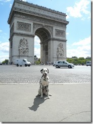 Paris,Arc de Triomphe (6) (480x640)