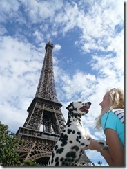 Paris,Eiffelturm (7) (480x640)