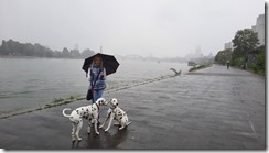 Köln bei Regen (1) (640x360)