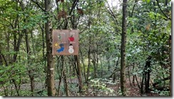 Kunterbunt im Wald (1) (8) (640x360)
