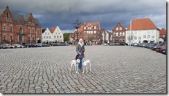 Glückstadt_22 (1) (10) (640x360)
