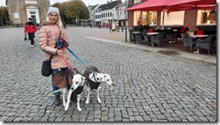 Husum_29 (1) (13) (640x360)