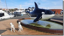 Urk_27 (1) (2) (640x360)