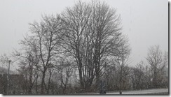 Es schneit (1) (2) (640x360)