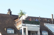 Balkon Insel.JPG